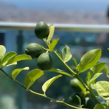 וילה Villa, Alanya, Antalya *